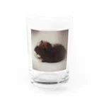 shop_イエティのイエティグッズ Water Glass :front