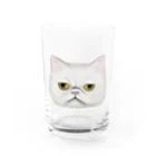 まるのペルシャ猫は見ている Water Glass :front