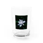 サトリアートのKuchinashi Water Glass :front