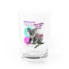 𝙈𝙊𝙈𝙊'𝙨 𝙎𝙝𝙤𝙥のコアラKING Water Glass :front