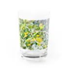 Miku Kafuu ArtsのMikuカフーアーツ【庭でまどろむ】シリーズ🌼 Water Glass :front