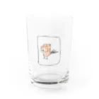 しゃ一ぷーるのコマドリキューブ Water Glass :front