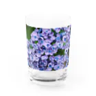 M&Hの紫陽花 Water Glass :front