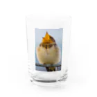 たかたかのモフモフつばめっ子　その2 Water Glass :front