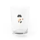 SUIMINグッズのお店のはまちの握り寿司を前のめりに運ぶねこ Water Glass :front