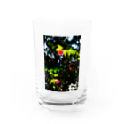 RDS_Rayon_de_soleilの支 Water Glass :front