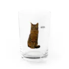 猫カフェ ぶぅたんグッズショップのおすましキトくん Water Glass :front