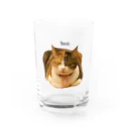 猫カフェ ぶぅたんグッズショップの仏のような寝顔のトコちゃん Water Glass :front