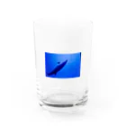 じりきちゃんの家の気持ちよく泳ぐイルカ Water Glass :front