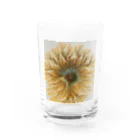 龍眼ミタマスアートの龍球フラクタル Water Glass :front