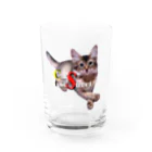 Cat's tail-street/SUZURIのCat's tail-street ロゴ Water Glass :front