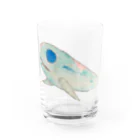 Shakoの夢のイルカ Water Glass :front