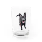 saaaikaの釣り ぽんらい Water Glass :front