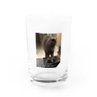 阿鹅说谢谢你の是你飘了 还是鹅提不动刀了 Water Glass :front