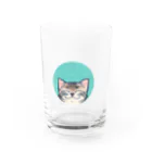 ＡＫＩＮＡＭＩのあさぎ丸猫 Water Glass :front
