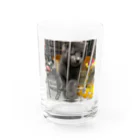 文字だけ元気な人@Ixionのお仕事行かんといて！ Water Glass :front