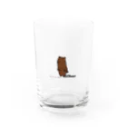 pinyako5502のprairiedogのたまちゃん Water Glass :front