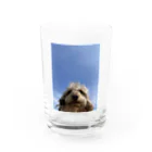 bearchan58の青空犬 Water Glass :front