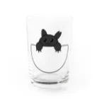 Kickassのポケットに住み着く猫です Water Glass :front