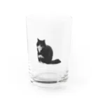 にゃんたろうの変な座り方にゃんたろう Water Glass :front