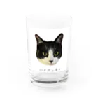 キースケのハチワレネコ Water Glass :front