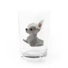 チワワの87_lucioのチワワの肖像 Water Glass :front