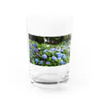 ソラウマの紫陽花 Water Glass :front