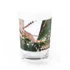 喫茶室ミントグリーンの台湾の市場 Water Glass :front