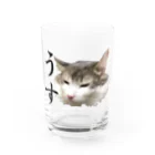 ひじき（ノル猫）のうす猫 Water Glass :front