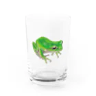 森図鑑の[森図鑑]アマガエル Water Glass :front