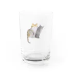 nicospyderのねこちゃん姉妹 Water Glass :front