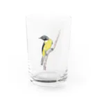 森図鑑の[森図鑑]キセキレイ Water Glass :front