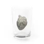 greedyingの内の美 Water Glass :front