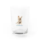 クロゴマのやる気ない愛犬 Water Glass :front