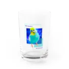 むーむー小屋のちびちゃんです！　セリフ付き青背景 Water Glass :front