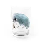 鳥鳥鳥(トリプル)の鳥鳥鳥 オキナインコ Water Glass :front