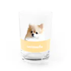 ポメラニアン グッズ unimofu pomeranianのポメラニアン チーズバー unimofu cheese bar Water Glass :front