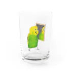 森図鑑の[森図鑑]セキセイインコと鏡  Water Glass :front