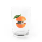 キボウノヒカリのmikanchan #1 Water Glass :front