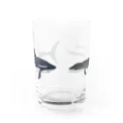 自給自足のモササウルスとメガロドン Water Glass :front