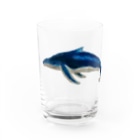 Coshi-Mild-Wildのザトウくじらだよ🐋 Water Glass :front
