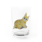 Coshi-Mild-Wildの茶トラの子ネコだぞっ😸 Water Glass :front