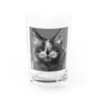 アモラボのラグドールのグラフィック Water Glass :front