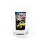 26giの水の生き物 Water Glass :front