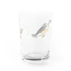 ありまる商店の泳ぐスッポンモドキ Water Glass :front