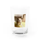 ハムちゃんのハムちゃん Water Glass :front