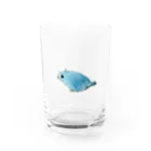 すみれ店のサザナミインコです。 Water Glass :front