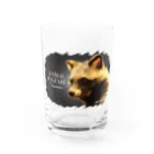 有限会社サイエンスファクトリーのANIMAL WELFARE　たぬき Water Glass :front