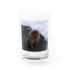 さッとんのおさるちゃん Water Glass :front