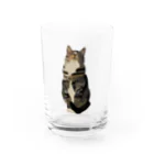 NAGATAIのTabby Cat Water Glass :front